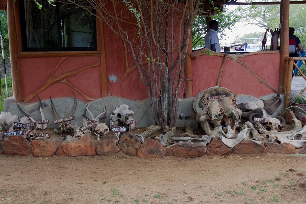 Kenia (448).jpg